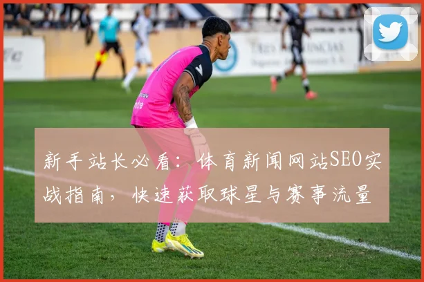 新手站长必看：体育新闻网站SEO实战指南，快速获取球星与赛事流量